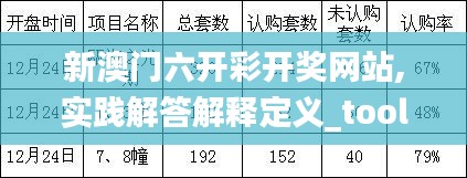 新澳门六开彩开奖网站,实践解答解释定义_tool2.496