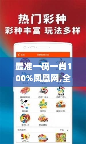 最准一码一肖100%凤凰网,全面数据执行方案_体验版3.254