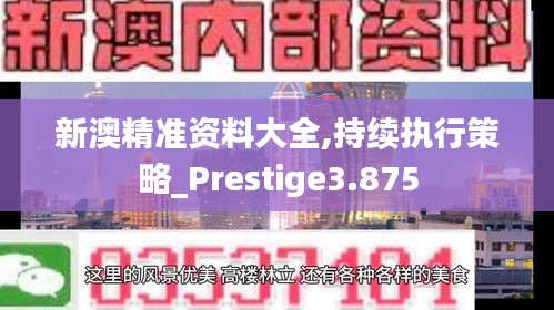 新澳精准资料大全,持续执行策略_Prestige3.875