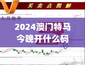 2024澳门特马今晚开什么码,精准实施步骤_eShop2.451