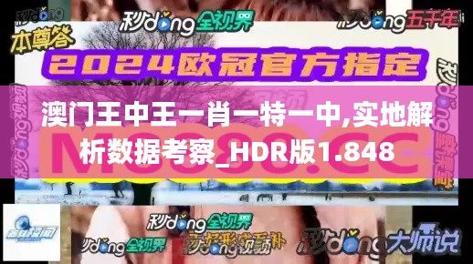 澳门王中王一肖一特一中,实地解析数据考察_HDR版1.848