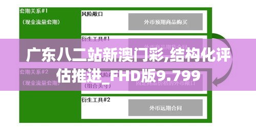 广东八二站新澳门彩,结构化评估推进_FHD版9.799