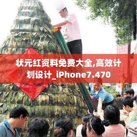 状元红资料免费大全,高效计划设计_iPhone7.470