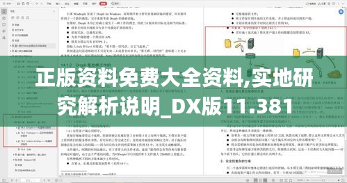 正版资料免费大全资料,实地研究解析说明_DX版11.381