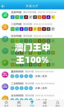 澳门王中王100%正确答案最新章节,高效策略设计_KP7.206