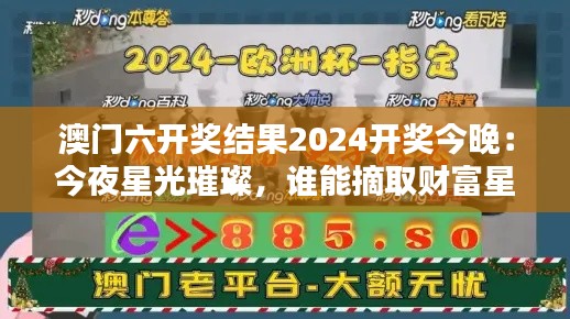 澳门六开奖结果2024开奖今晚：今夜星光璀璨，谁能摘取财富星辉