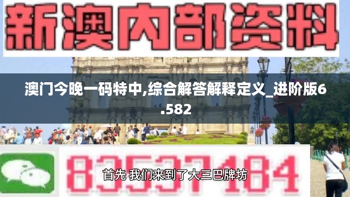 澳门今晚一码特中,综合解答解释定义_进阶版6.582