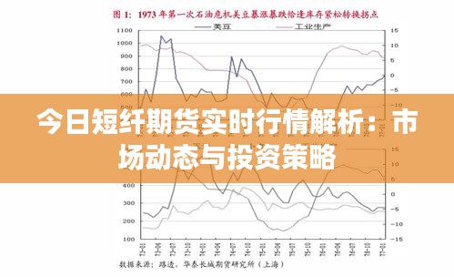 今日短纤期货实时行情解析：市场动态与投资策略