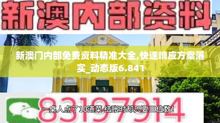 新澳门内部免费资料精准大全,快速响应方案落实_动态版6.841