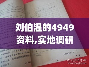 刘伯温的4949资料,实地调研解释定义_苹果版7.157