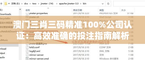 澳门三肖三码精准100%公司认证：高效准确的投注指南解析