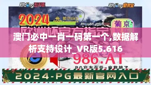 澳门必中一肖一码第一个,数据解析支持设计_VR版5.616