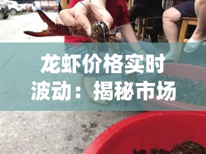 龙虾价格实时波动：揭秘市场动态与消费影响