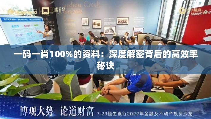 一码一肖100%的资料：深度解密背后的高效率秘诀