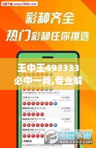 王中王493333必中一肖,专业解析说明_娱乐版4.720