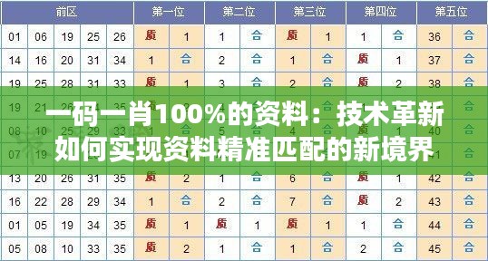 一码一肖100%的资料：技术革新如何实现资料精准匹配的新境界