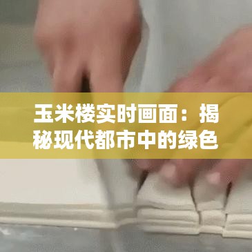 玉米楼实时画面：揭秘现代都市中的绿色奇迹