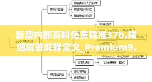 新澳内部资料免费精准37b,精细解答解释定义_Premium9.196