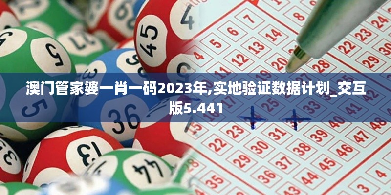 澳门管家婆一肖一码2023年,实地验证数据计划_交互版5.441