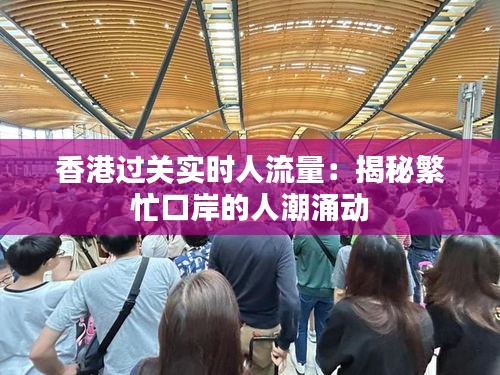 香港过关实时人流量：揭秘繁忙口岸的人潮涌动