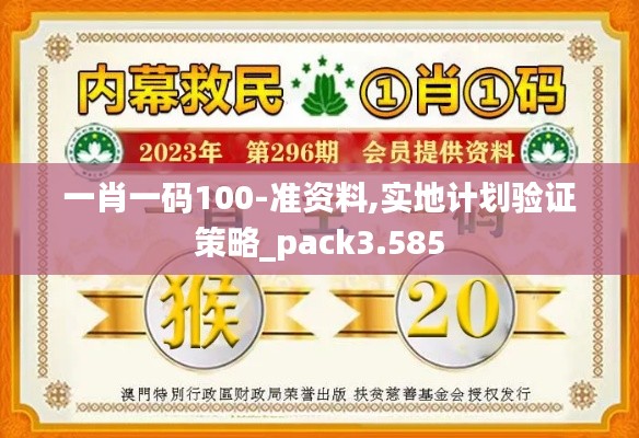 一肖一码100-准资料,实地计划验证策略_pack3.585