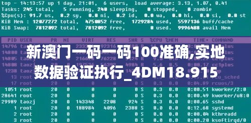 新澳门一码一码100准确,实地数据验证执行_4DM18.915