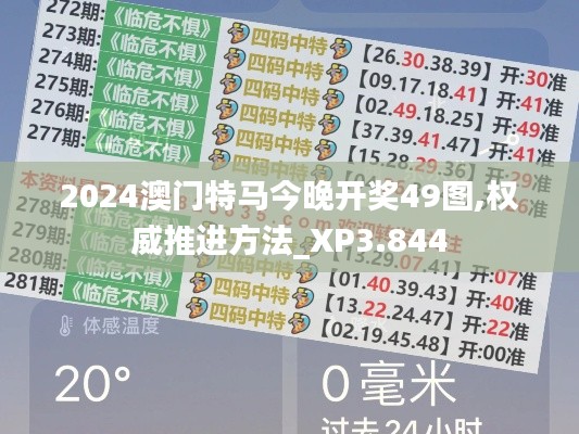 2024澳门特马今晚开奖49图,权威推进方法_XP3.844