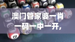 澳门管家婆一肖一码一中一开,深入数据应用解析_The9.389