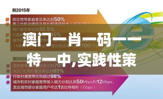 澳门一肖一码一一特一中,实践性策略实施_定制版4.633