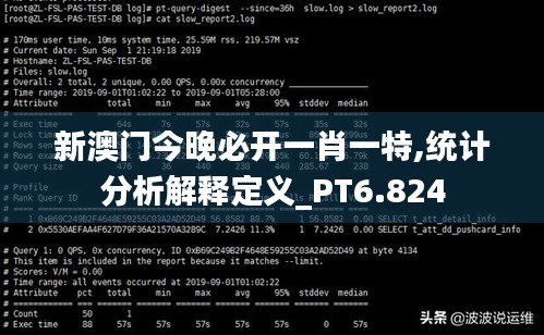 新澳门今晚必开一肖一特,统计分析解释定义_PT6.824