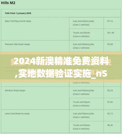 2024新澳精准免费资料,实地数据验证实施_nShop7.169