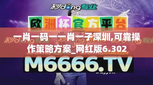 一肖一码一一肖一子深圳,可靠操作策略方案_网红版6.302