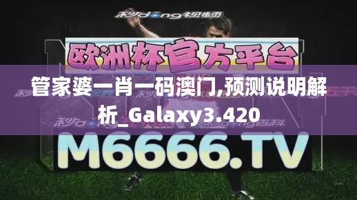 管家婆一肖一码澳门,预测说明解析_Galaxy3.420