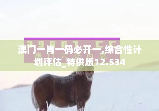 澳门一肖一码必开一,综合性计划评估_特供版12.534