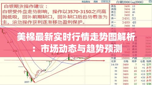 美棉最新实时行情走势图解析：市场动态与趋势预测