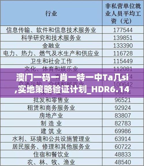 澳门一码一肖一特一中Ta几si,实地策略验证计划_HDR6.145