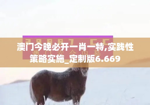 澳门今晚必开一肖一特,实践性策略实施_定制版6.669