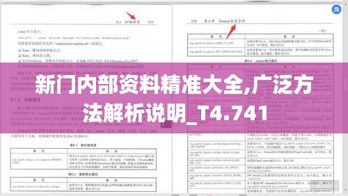 新门内部资料精准大全,广泛方法解析说明_T4.741