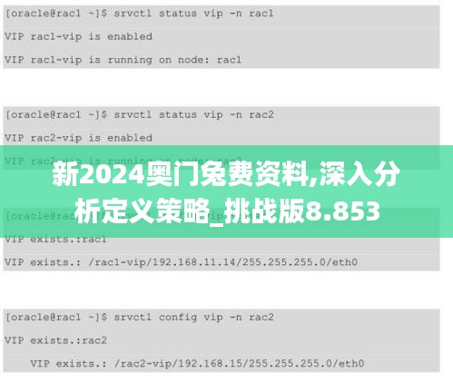 新2024奥门兔费资料,深入分析定义策略_挑战版8.853