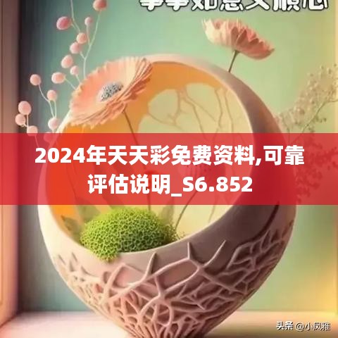 2024年天天彩免费资料,可靠评估说明_S6.852