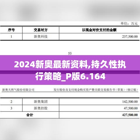 2024新奥最新资料,持久性执行策略_P版6.164