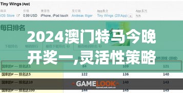 2024澳门特马今晚开奖一,灵活性策略设计_苹果款110.213