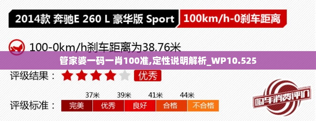 管家婆一码一肖100准,定性说明解析_WP10.525