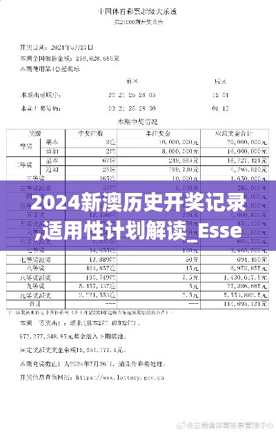 2024新澳历史开奖记录,适用性计划解读_Essential10.116