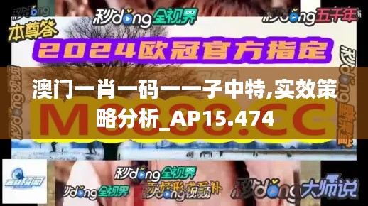 澳门一肖一码一一子中特,实效策略分析_AP15.474