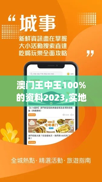 澳门王中王100%的资料2023,实地验证数据设计_FT3.678