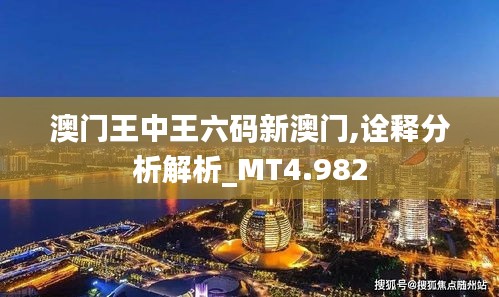 澳门王中王六码新澳门,诠释分析解析_MT4.982