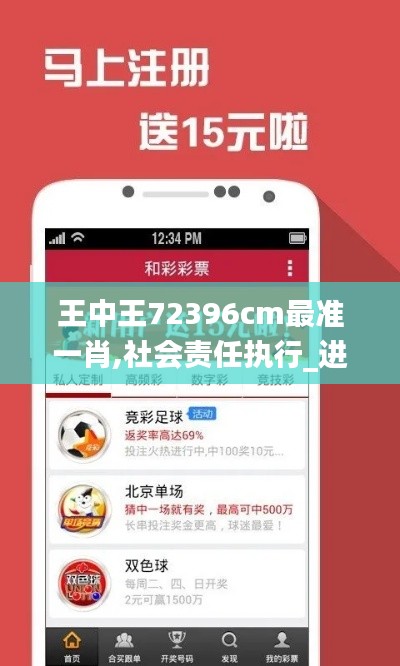 王中王72396cm最准一肖,社会责任执行_进阶版9.773