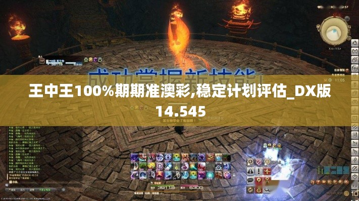 王中王100%期期准澳彩,稳定计划评估_DX版14.545