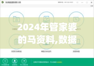 2024年管家婆的马资料,数据驱动实施方案_Windows9.396